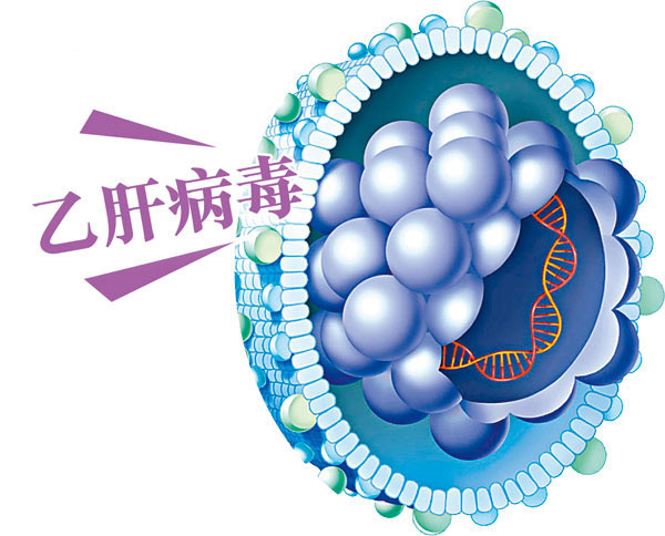 【肝炎日】全球194个国家承诺 2030年消灭病毒性肝炎