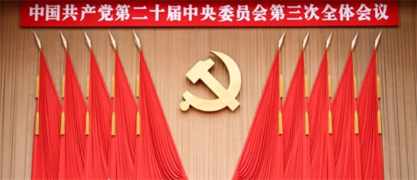 我院学习贯彻党的二十届三中全会精神